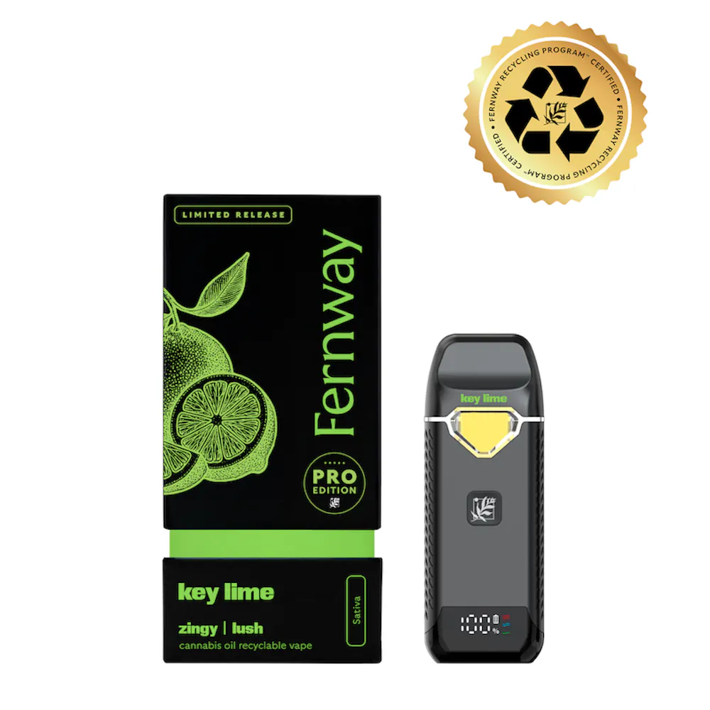 Product Fernway - Key Lime Flavor Line Traveler Pro Disposable Vape (2g)