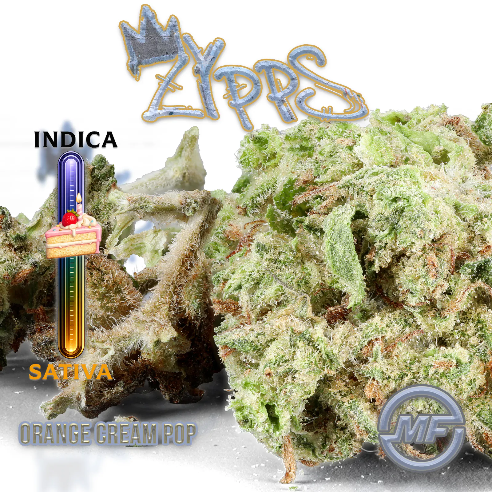 Michigan's Finest