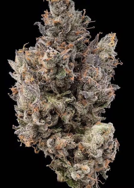 Lemon Lollipops (SH) | 3.5g | Flower | Impressed - Image 2