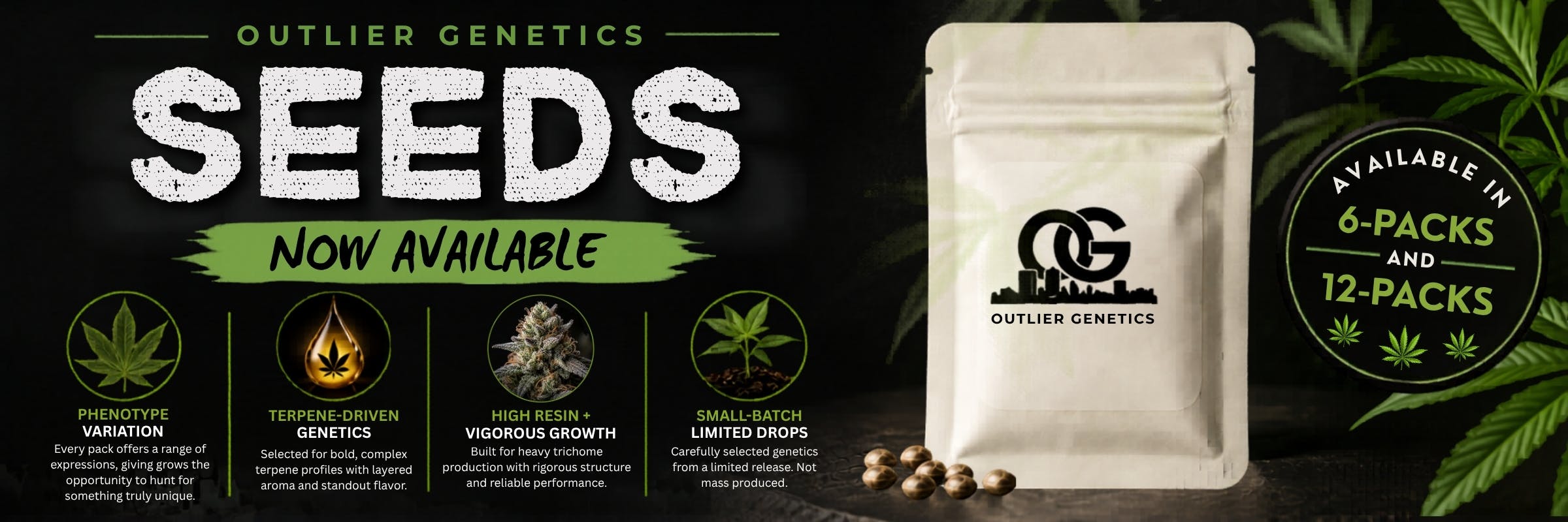 Outlier Genetics Seeds Now For Sale at Resinate Worcester! Available in 6-pack and 12-packs.