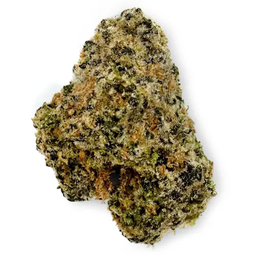 Voyage Bloom Hella Jelly Prepack Rec-active