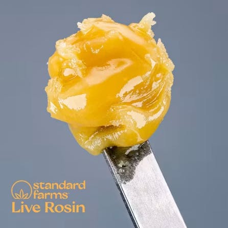 Spearmint Style #14 Live Rosin