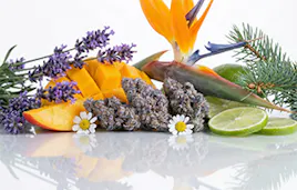 Flower category image