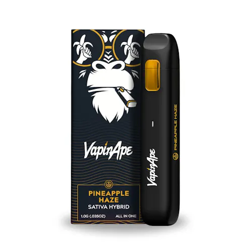 Pineapple Haze Disposable | 1g-1