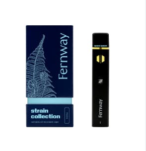 Space Queen | All-in-one