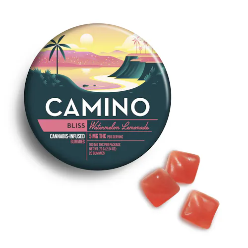 Camino | Watermelon Lemonade | Bliss | 5mg-1