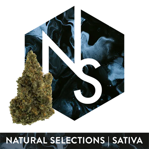 Natural Selections Wizard Spray 3.5g-1