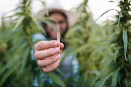 Pre-Rolls category image