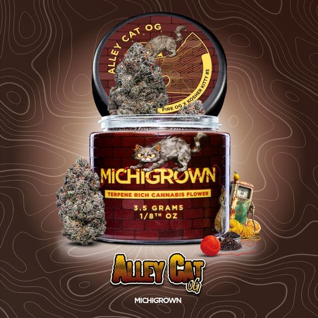 Product Image Alt