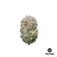 Outlaw Glue Pre-Roll | 1g - product image at King of Budz