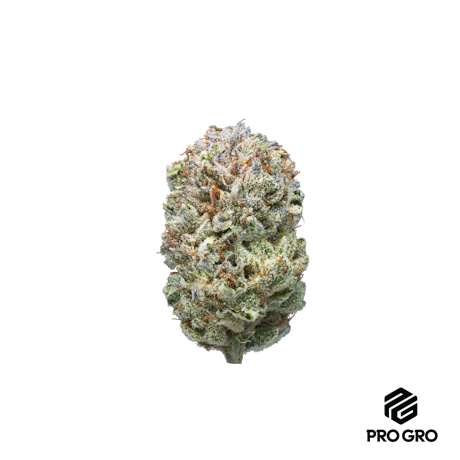 Outlaw Glue Pre-Roll | 1g - product image at King of Budz