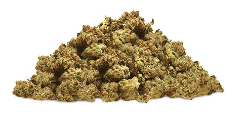 Exotic Genetix EXOTIC GENETIX | RED POP | BULK | SMALLS | HYBRID — FLOWER