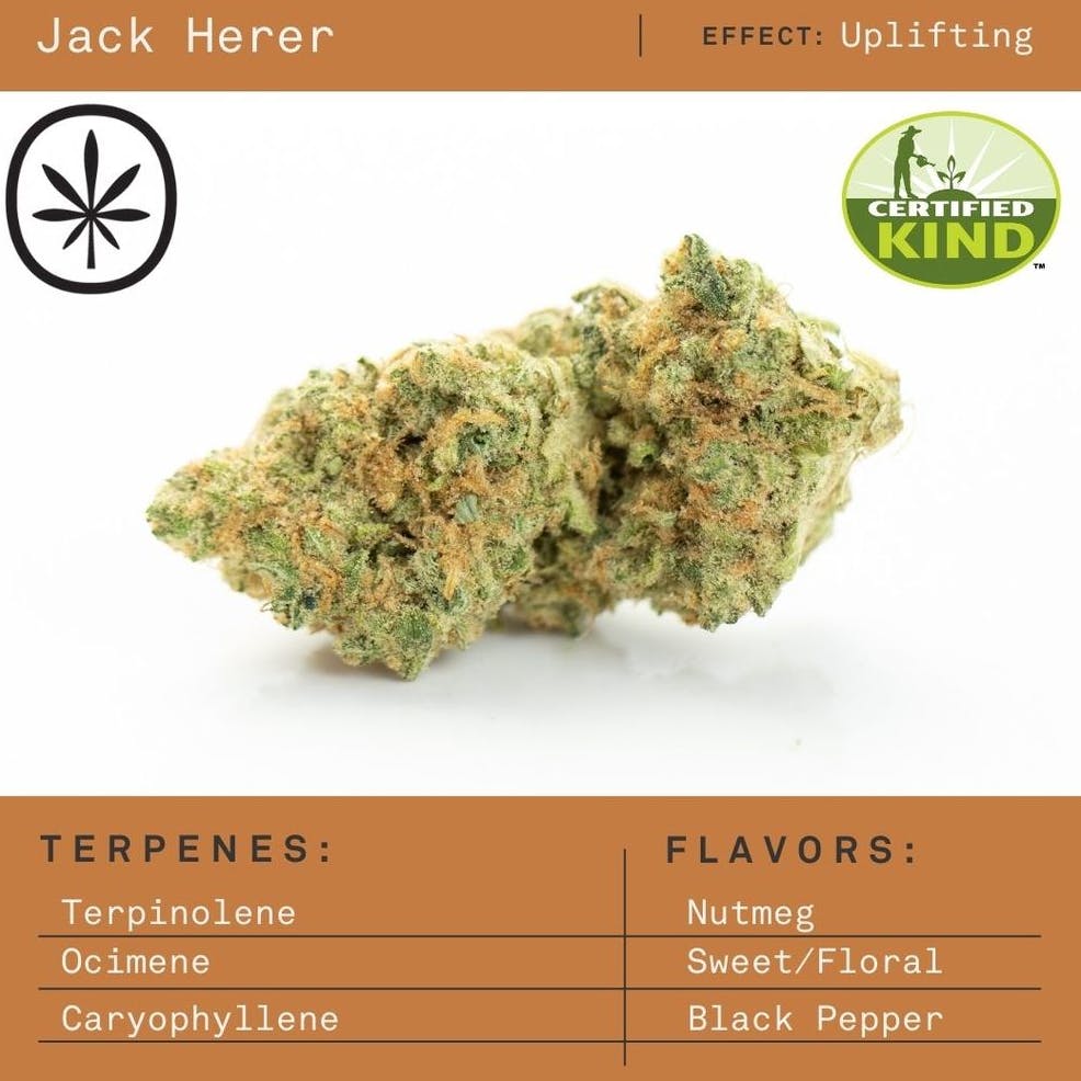 Product: Apothecare | Pre-Pack - - Jack Herer