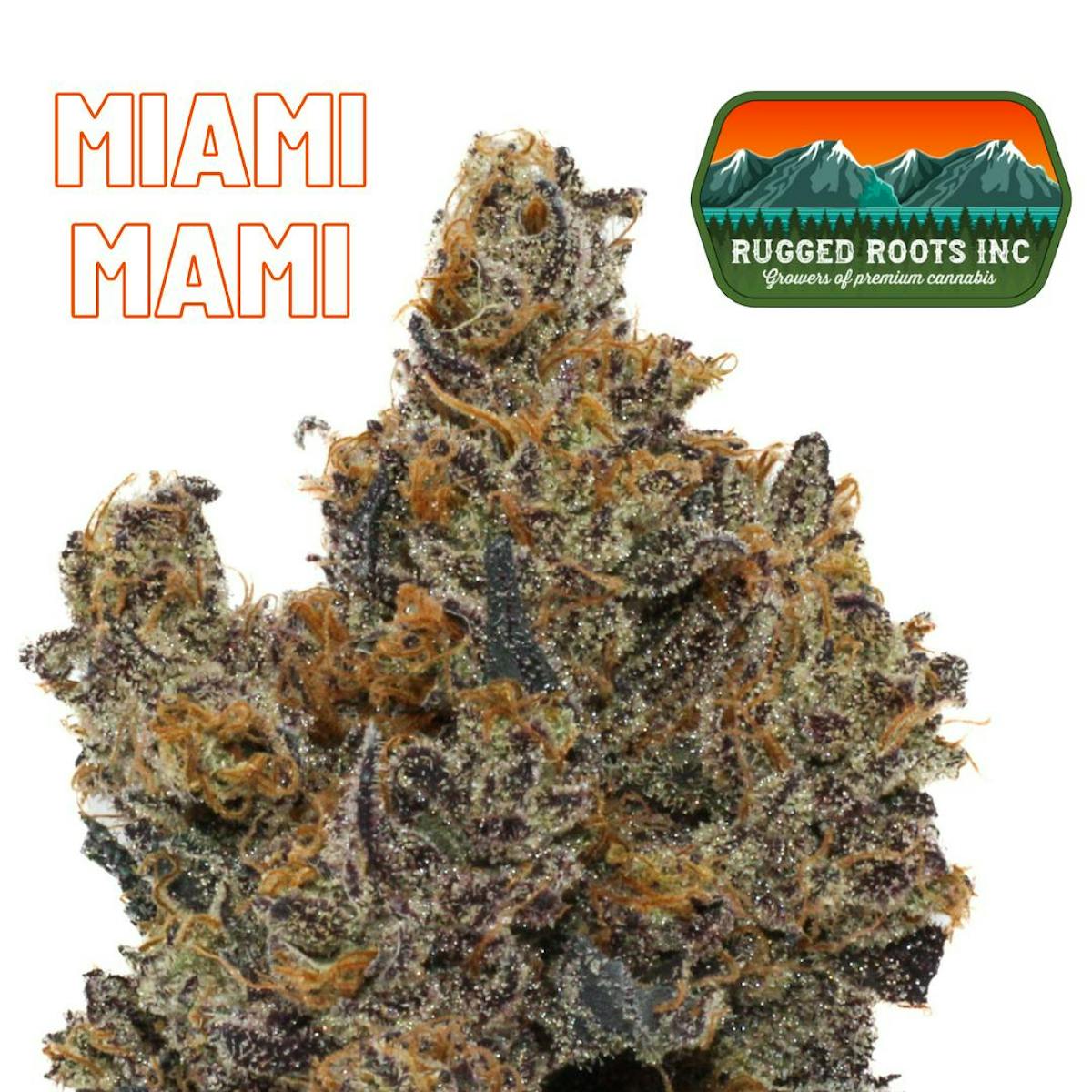 Image of Miami Mami | 3.5g
