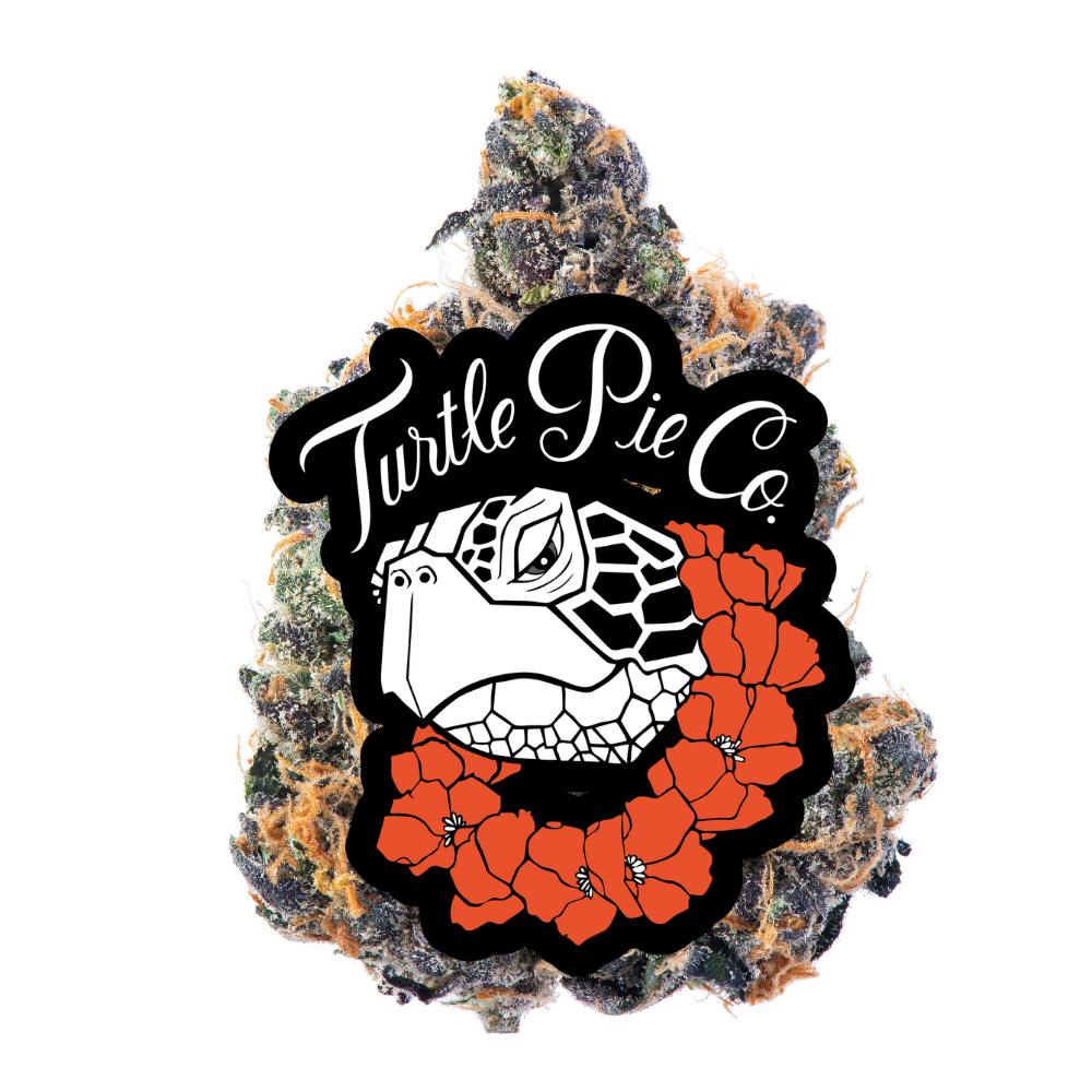 Shop Turtle Pie Co. (T.P.C.) Cookies Select - Sidewalk Sunday in
