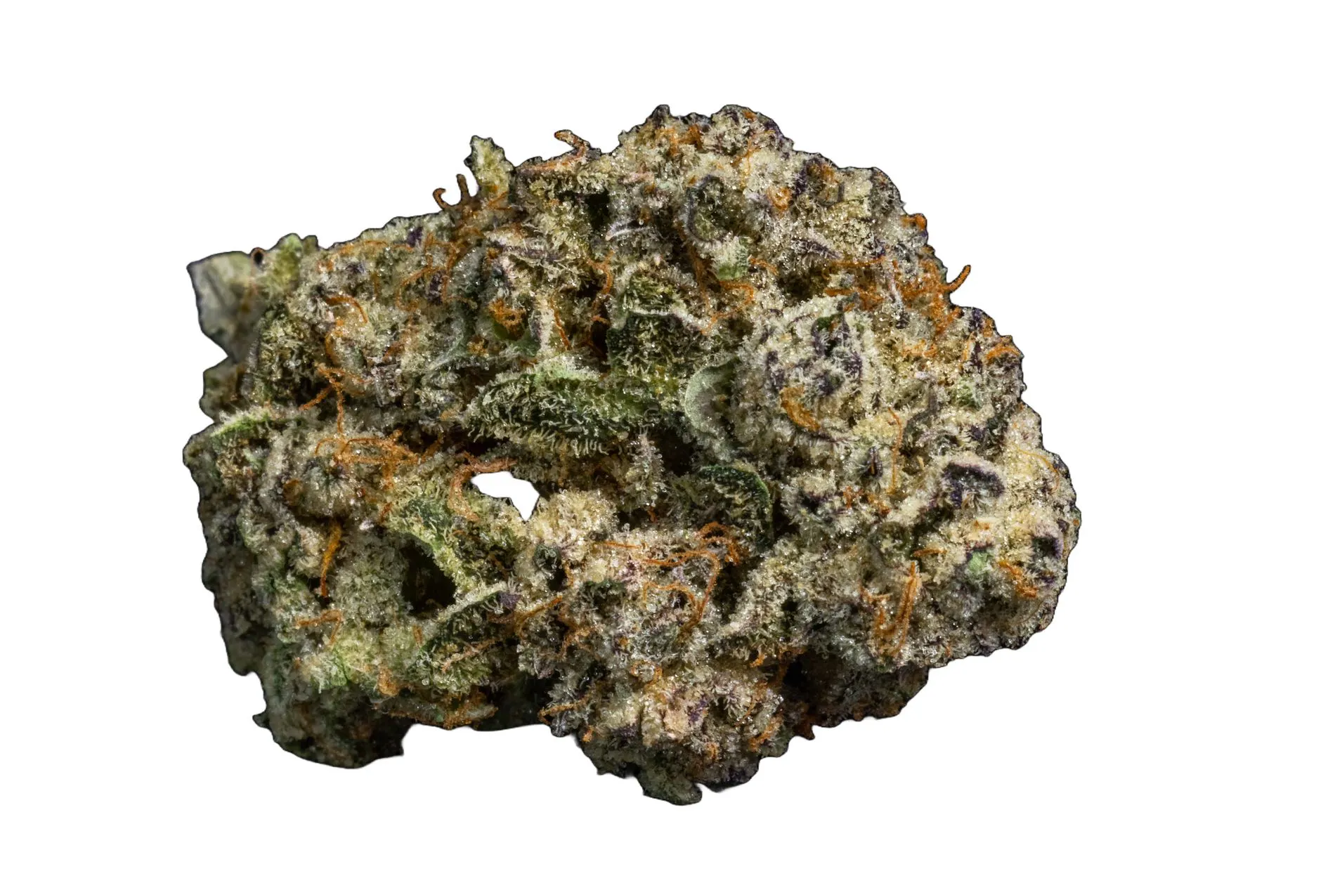Harborside (San Leandro)