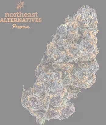 Product Pink Breath Buds