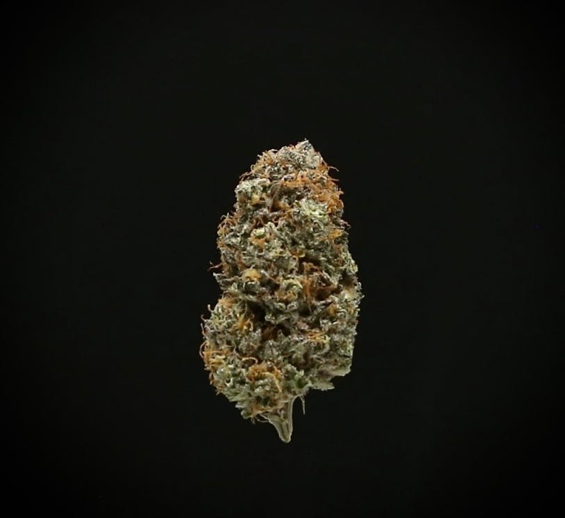 image of Garlic Crusher | 3.5