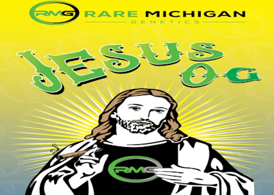 DELI - Rare Michigan Genetics - Jesus OG - FLOWER by Rare Michigan Genetics at King of Budz