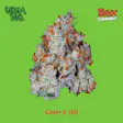 Chem D