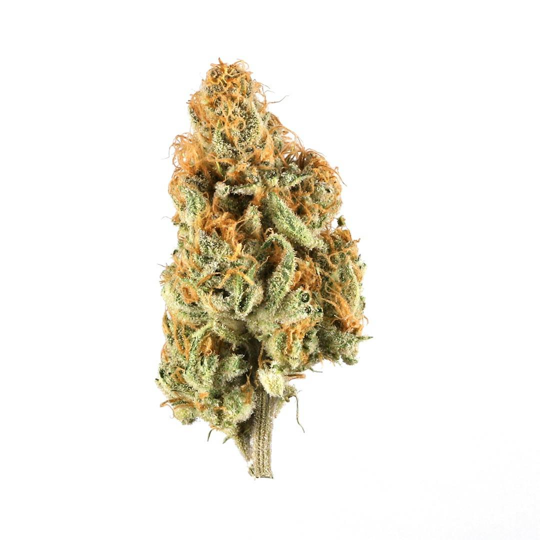 GATSBY CANNABIS CO. | PLANET SHERB INDICA/HYBRID