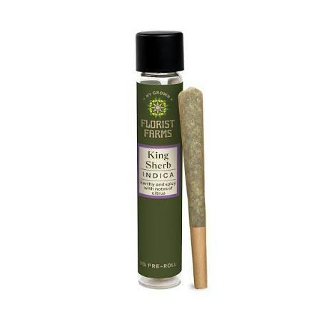 Florist Farms King Sherb