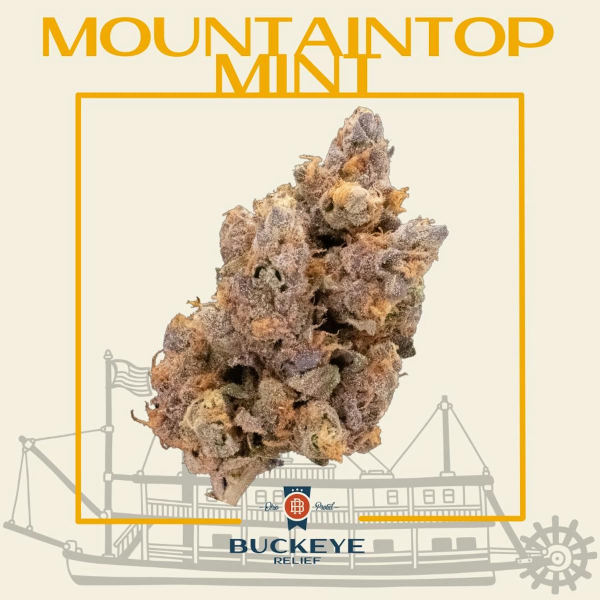 Buckeye Relief Mountaintop Mint 2.83g Canton, OH