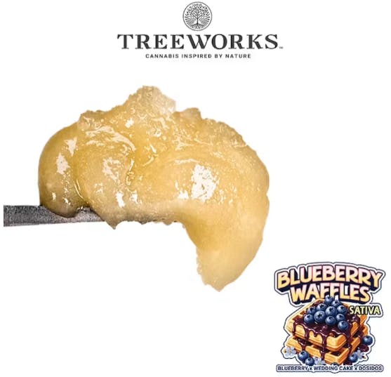 Live Rosin | Blueberry Waffle