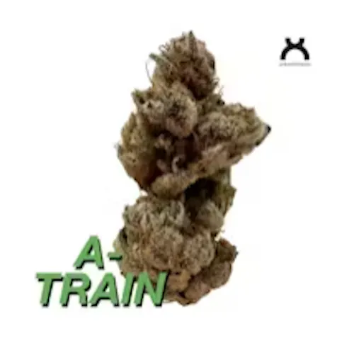 A-Train | Flower | 3.5g-1