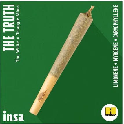 image of The Truth | 1g Preroll
