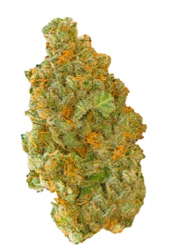 ジンジャー・スナップス('00カナダ) CALIFORNIA 78 EX BLACK / OATMEAL レトロな雰囲気を残しつつも