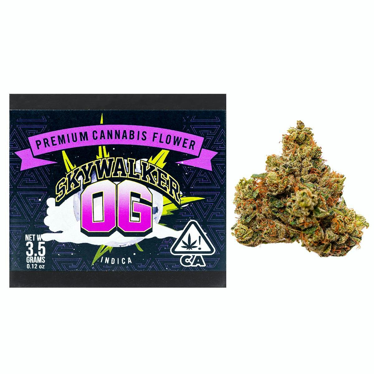 85af3b89941a7816134d3ee52a5387d7?auto=format&fit=fill&fill=solid&fillColor=fff&__typename=ImgixSettings&ixlib=react-9.0