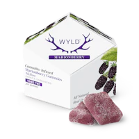 WYLD - 100mg Gummies - Marionberry - product image at King of Budz