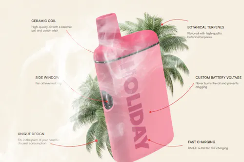 Holiday | Weekend | Disposable | Hybrid | 0.5g-1