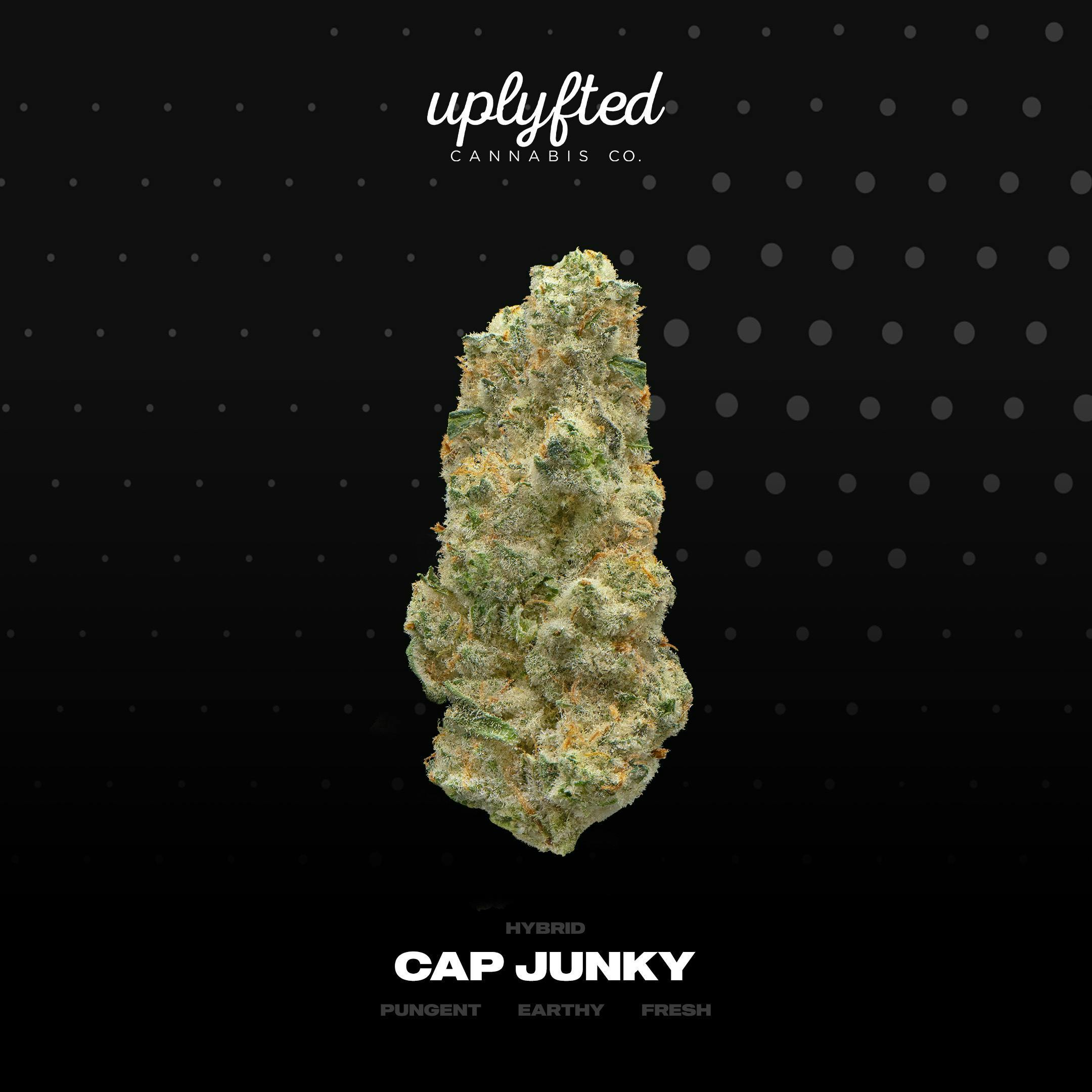Product: UPLYFTED | CAP JUNKY | BULK | HYBRID