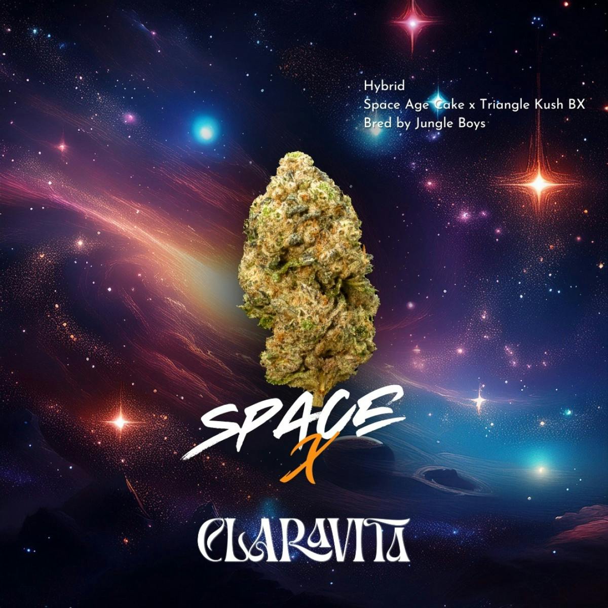 Space X | 3.5g | Solar Cannabis Co. Weed Dispensary Somerset