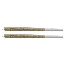 Treasure Pack #2 Pre-Rolls | 2x0.7g | Buzzed Buds (Yonge St)