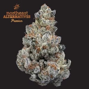 Product NEA Premium | Dante's Inferno #10 | Flower