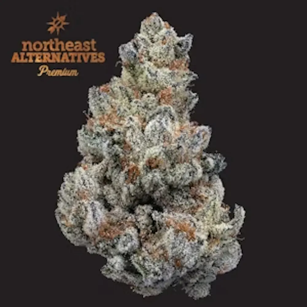 Product NEA Premium | Dante's Inferno #10 | Flower