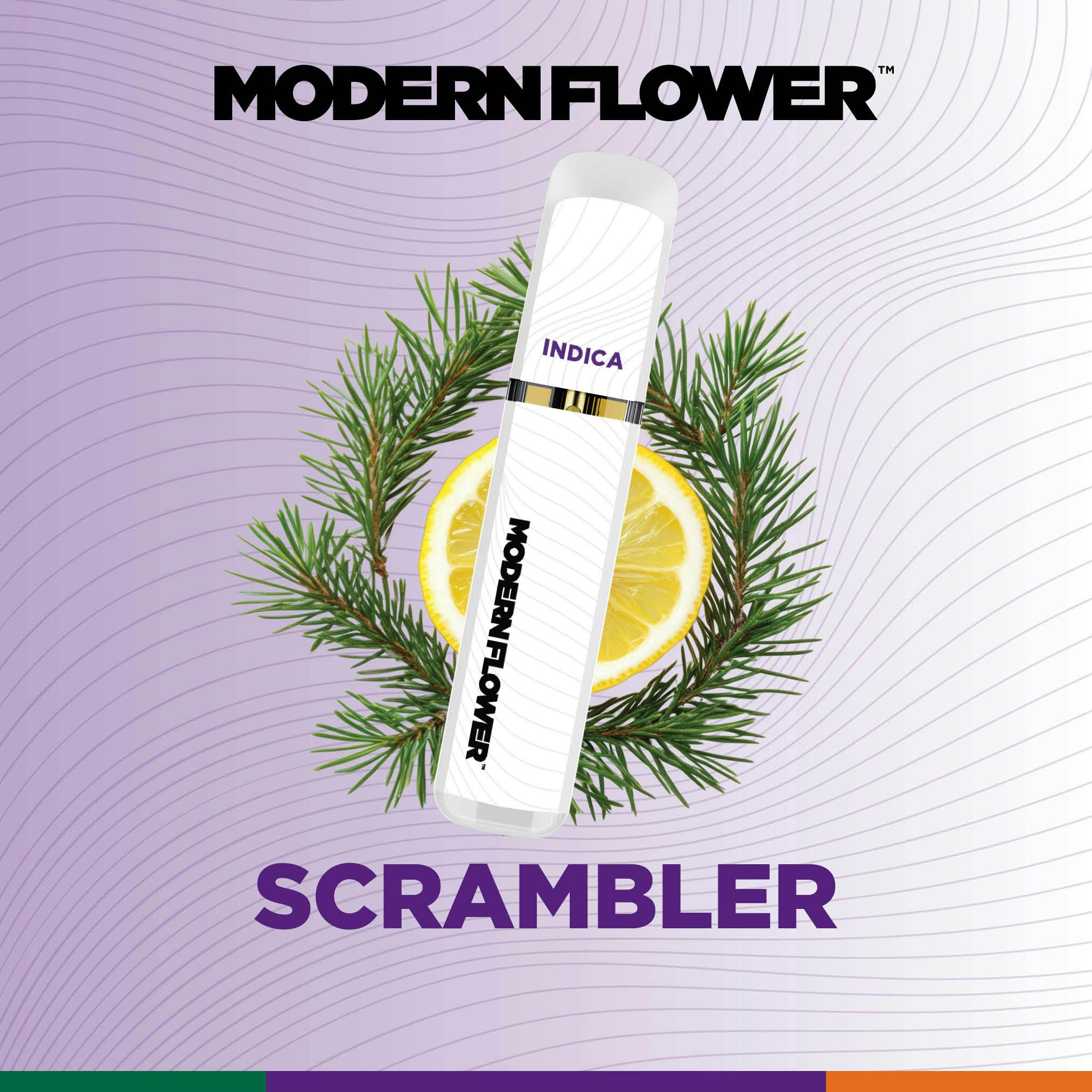 Scrambler Live Sauce All In One
