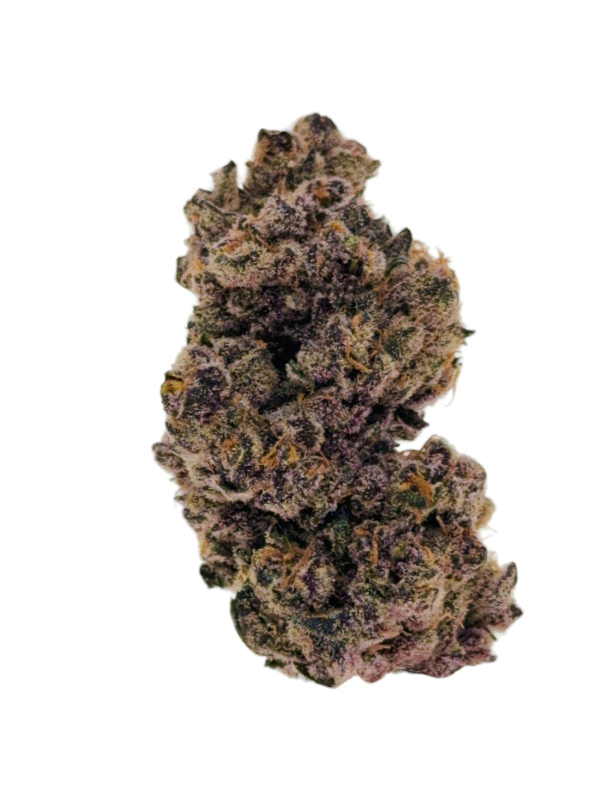 Image of Bahama Mama