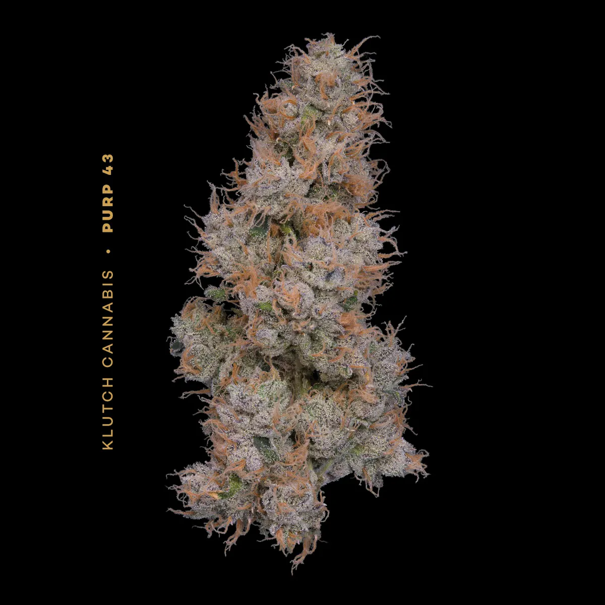 Purp 43 | 14.15g Flower | Klutch
