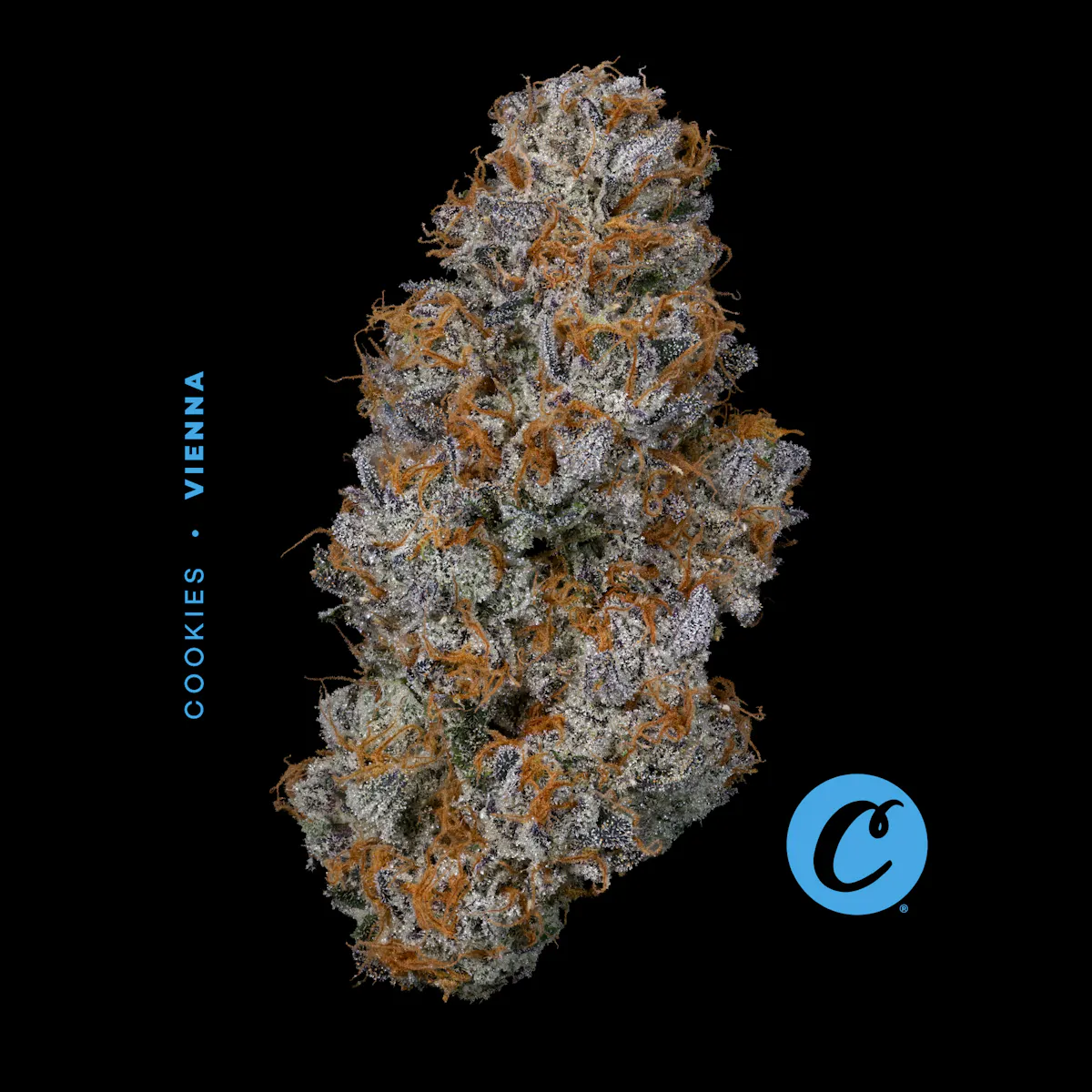 Vienna | 3.54g Flower | Cookies |