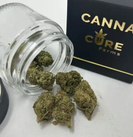 Cannacure Farms Indoor Grown Flower | 3.5g | Cereal Milk