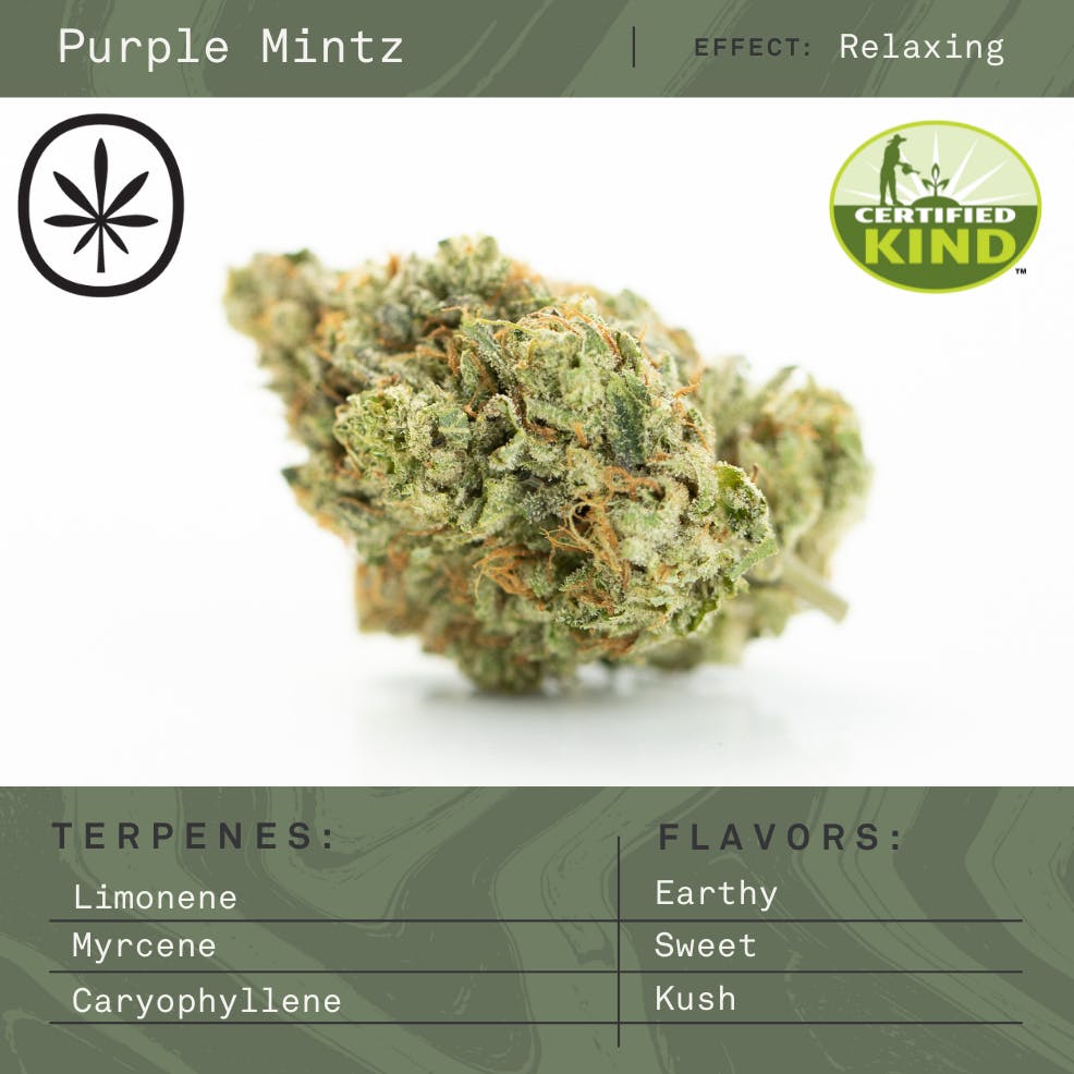 Product: Apothecare | Pre-Pack - - Purple Mintz