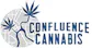 dispensary logo