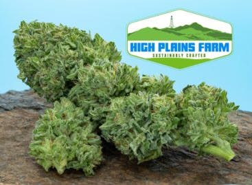 Image of High Plains Farm | Pineapple | Pre-Roll