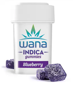 Classic Blueberry Gummies