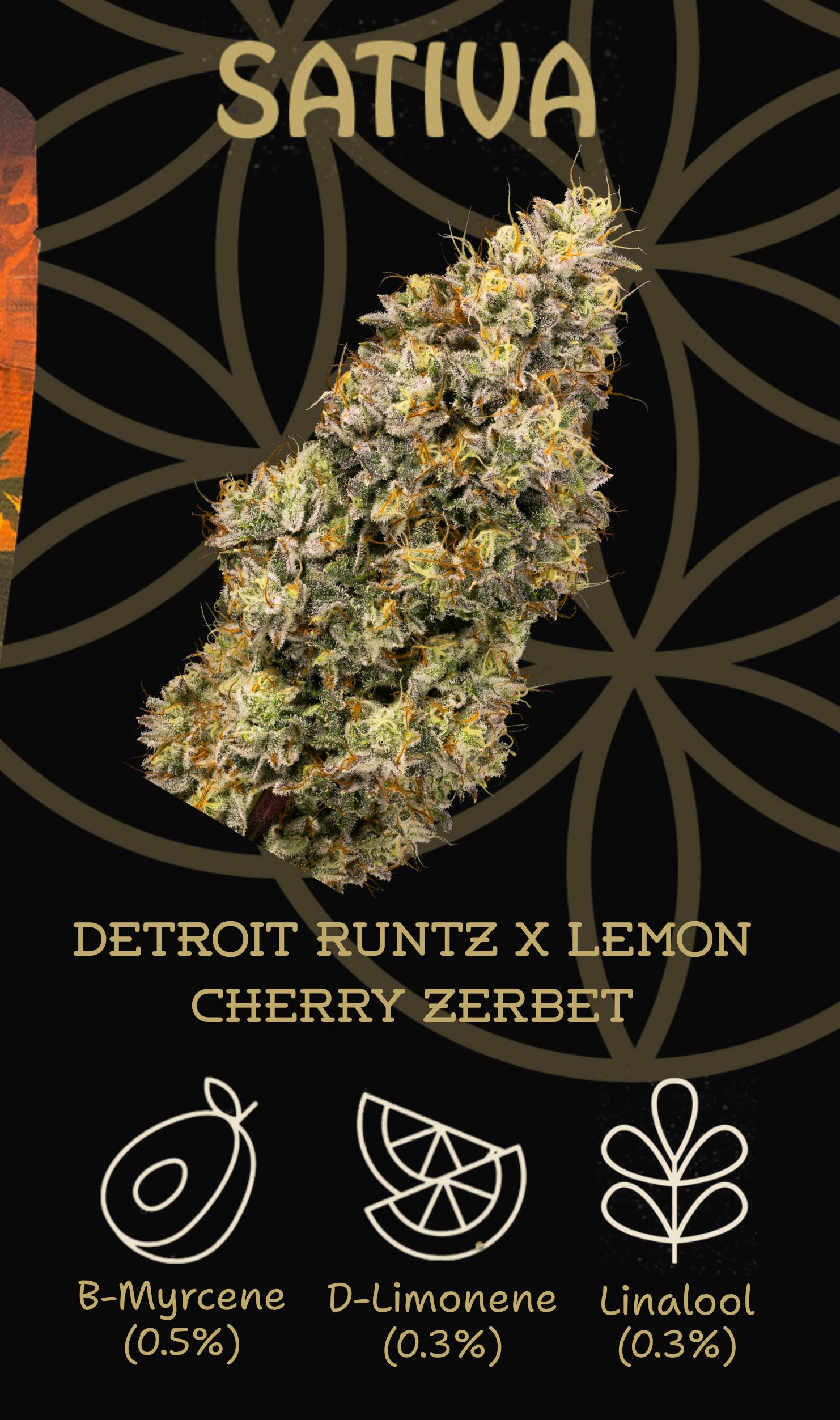 Flower of Life | Bulk Bud - Tiki sugar