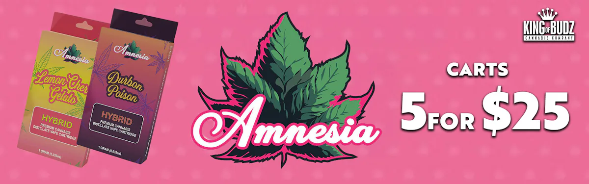 Amnesia - 1g Carts - 5/$25